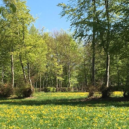 Ferienwohnung Ravelblick Roetgen Exteriér fotografie