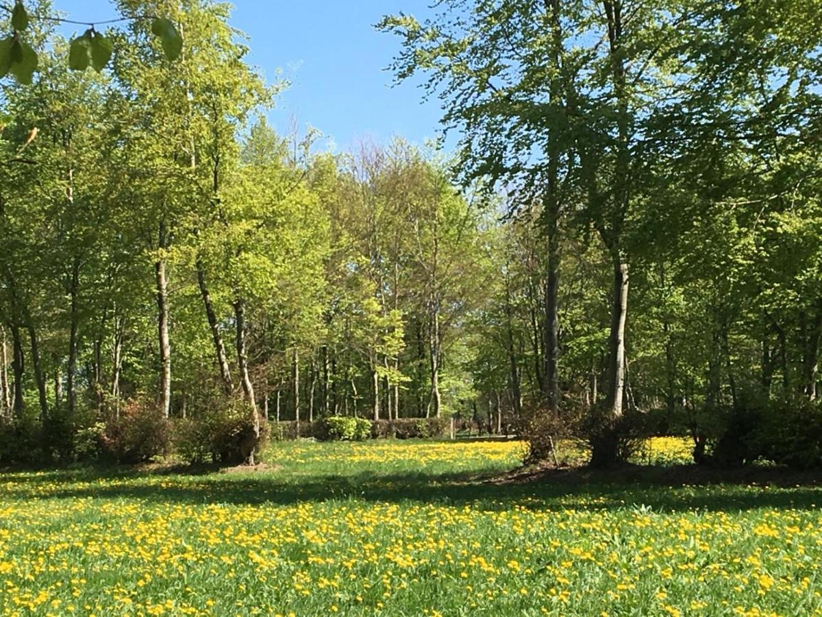 Ferienwohnung Ravelblick Roetgen Exteriér fotografie